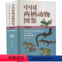 [正版]中国两栖动物图鉴(野外版) 费梁 编 生命科学/生物学 wxfx