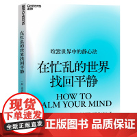 在忙乱的世界找回平静 克里斯·贝利 平静才是你的高阶生产力 摆脱倦怠,找回精力充沛的自己