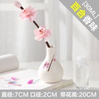 可爱室内创意房间卧室客厅无火香薰套装现代家居装饰品陶瓷小摆件 三维工匠 蕾丝紫瓶(薰衣草)帮助睡眠.中