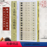 [正版]文徽明小楷精选 落花诗册+前后赤壁赋 技法精析+临摹范例+集字作品+高清原碑帖新书谱中国书法基础教程书籍 文徽