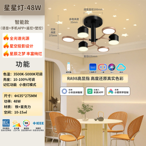 雷士照明星空灯现代简约吸顶灯奶油风客厅吊灯主灯中山灯具