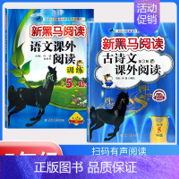 下册》古诗文阅读+课外阅读训练B版[2本] 小学五年级 [正版]2024英语五年级 小学英语阅读理解专项训练题课外拓展强