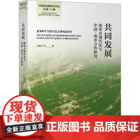 共同发展 南非式现代化与中国-南非合作研究 刘海方 等 著 商务印书馆 经济理论、法规 经济理论