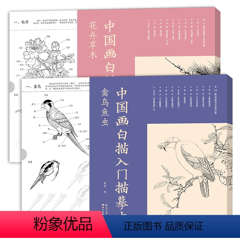 [正版]历代精品小品初学者画白描 中国画白描入门描摹本•禽鸟鱼虫花卉草木2本套装 湖北美术出版社
