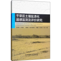 音像干旱区土壤盐渍化遥感监测及评价研究买买提·沙吾提 等