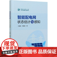 智能配电网状态估计与感知 白星振,葛磊蛟 著 电工技术/家电维修专业科技 正版图书籍 中国电力出版社