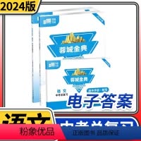 九年级(中考)总复习语文人教版 初中通用 [正版]赠电子答案2024春蓉城金典七八九年级上册下册语文人教版 金典新思维成