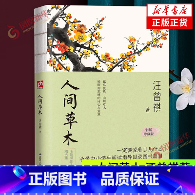 [正版]人间草木 汪曾祺 裸脊锁线 彩插珍藏版 人间系列 文学家生活家汪曾祺的草木情怀诗意人生 汪曾祺散文作品集现当代