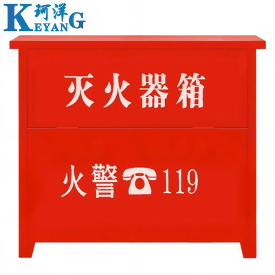 珂洋 灭火器箱 4KG*4 个