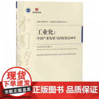 工业化--中国产业发展与结构变迁40年/改革开放40年中