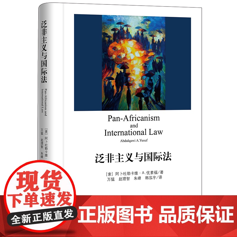D 泛非主义与国际法 阿卜杜勒卡维 法律出版社 非洲联盟体制下的泛非主义 法学理论