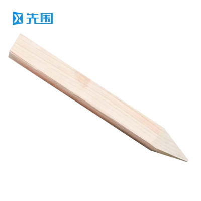 先围 测量木桩 20*20*300mm 根