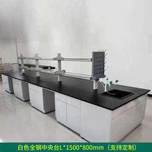 文灵全钢实验台钢木PP边台柜试验台化验室工作台实验室桌操作台定制(每米单价)[工厂现做 7天内发货]