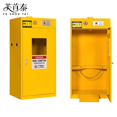芙首泰气瓶柜单瓶二代报警600*450*1200mm台
