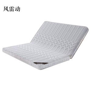 风雷动椰棕床垫家用棕垫B6cm厚折叠(防螨针织+0胶水天然椰棕)1800mm*1900mm