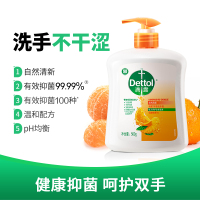 滴露健康抑菌洗手液 自然清新500g