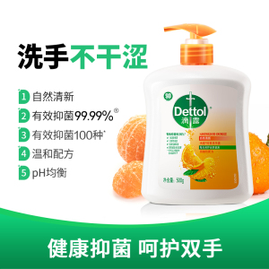 滴露健康抑菌洗手液 自然清新500g
