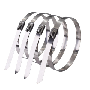 好企来 不锈钢扎带 BZ-0117 8*900mm 100条/包