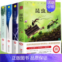 [全套四册]昆虫记+安徒生+格林+伊索寓言 [正版]柳林风声书 原版小学生课外阅读书籍三四五六年级阅读经典书目青少年儿童