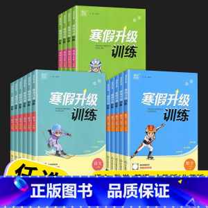 数学(人教版) 小学三年级 [正版]2023春 通城学典寒假升级训练小学一年级二年级三年级四年级五年级六年级语文数学英语