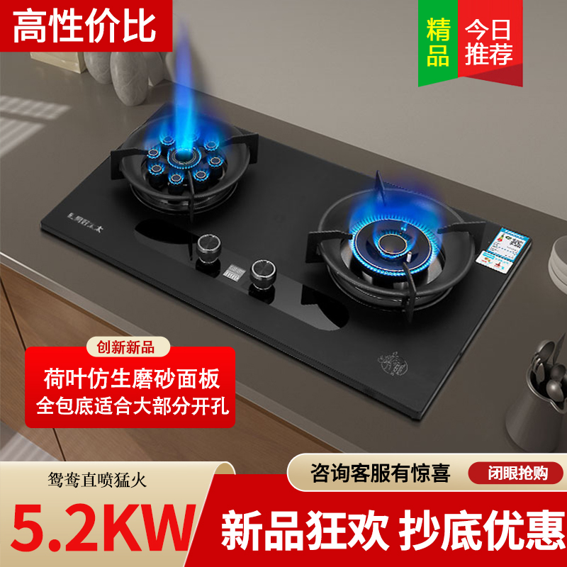 旺厨好太太 5.2KW磨砂直喷猛火灶 定时燃气灶家用炉灶 大火力煤气灶灶具双灶双眼灶液化气灶 打火灶企业价
