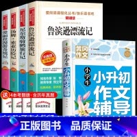 [全5册]六年级下册书目+小升初作文辅导 [正版]全套4册 鲁滨逊漂流记原着完整版六年级下册必读书目快乐读书吧课外书爱丽