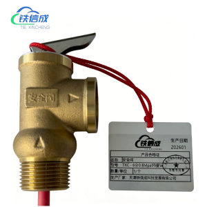 铁信成 安全阀 TXC - 6分0.8Mpa99度W 个