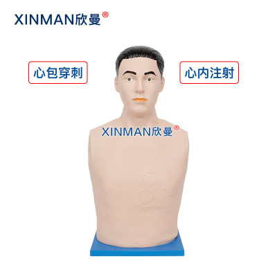 欣曼科教 心包穿刺与心内注射模拟人 心包穿刺训练模型XM-XB01