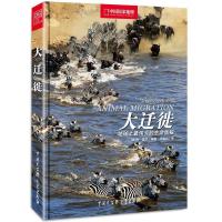 正版新书]中国国家地理-大迁徙:地球上最伟大的生命旅程(英)