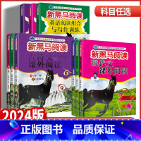 2本套装)现代文+英语阅读组合与写作训练 九年级/初中三年级 [正版]2024版 新黑马阅读初中七八九年级语文古诗文现代