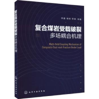 音像复合煤岩受载破裂多场耦合机理李鑫,杨桢,李艳等著