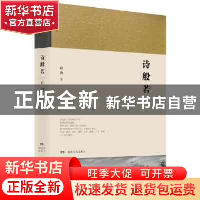 正版 诗般若 叶舟著 湖南文艺出版社 9787540482350 书籍