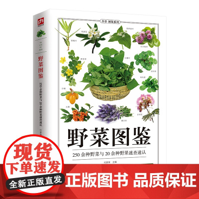 野菜图鉴 全新图解版