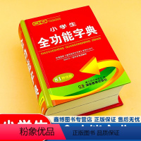 [正版]小学生全功能字典 双色本笔画笔顺组词造句释义运用 语文学习工具书 湖南教育出版社