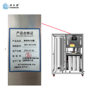 滨生源大型商用净水设备0.25吨内置150升不锈钢压力罐触摸屏BSY-RO1200(台)