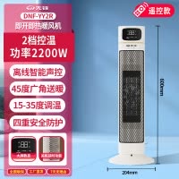 先锋取暖器/电暖器/电暖气/取暖电器/暖风机办公室电暖风烤火炉暖脚器电热扇热风机 DNF-YY2R