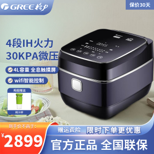 格力(GREE) 大松 IH智能电饭煲 4段IH加热 地道煲仔饭 黛山紫 百香煲 GDCF-4009Ca