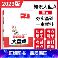 语文 小学升初中 [正版]小学知识大盘点语文数学英语基础知识大盘点 小学知识大全四五六年级考试总复习人教版 小升初语文数