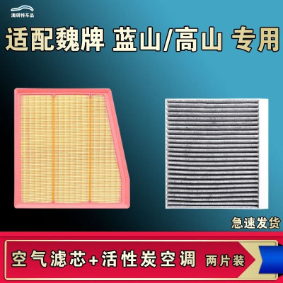游枫亭适配WEY魏派牌蓝山高山空气空调机油滤芯格清器原厂升级活性炭