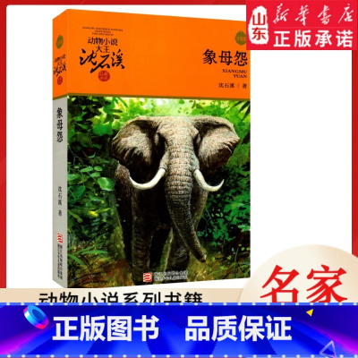 象母怨 [正版]书店 象母怨 升级版动物小说大王沈石溪·品藏书系 中/小学生阅读少儿读物 儿童文学