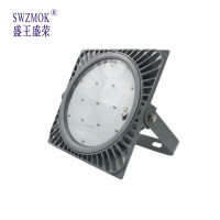 盛王盛荣 LED 泛光灯