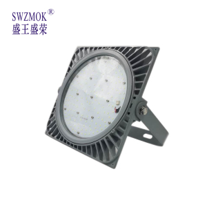 盛王盛荣 LED 泛光灯