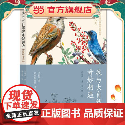 我与大自然的奇妙相遇:追踪鸟类