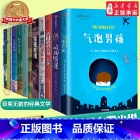 我爱读大奖系列17册 [正版]单本 我爱读国际大奖小说系列全13册 鸡脚怪屋会说话的老鼠铁皮 孩 7-12岁少年冒险童