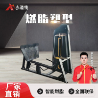 赤道线 坐式蹬腿训练器综合训练器 腿部肌肉训练器CDX-A499S-1763