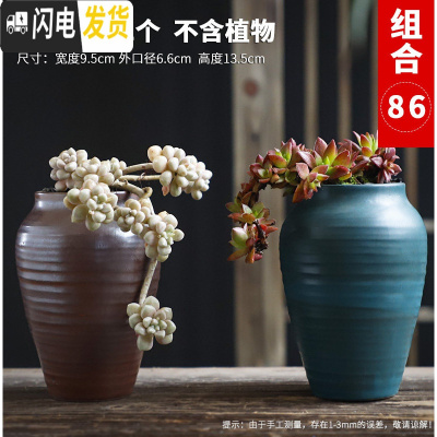 三维工匠多肉花盆陶瓷粗陶透气复古创意大号老桩肉肉植物盆 款式8 中等花盆容器