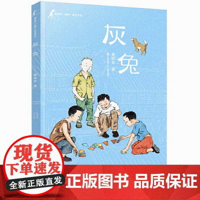 黄蓓佳童眸美绘书系:灰兔/黄蓓佳代表作《童眸》的精品美绘系列,大开本全彩印刷。