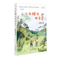 [N]小鸟睡在我身旁/中国原创儿童生态文学精品书系-9787551322591