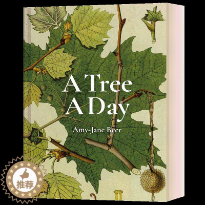 [醉染正版]自然植物百科科普彩图图集 精装 A Tree A Day Amy-Jane Beer 英文原版科普读物 进口