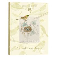 [N]鸟(精)/我的手绘博物馆-9787571111977